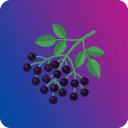 Eldberry Theme